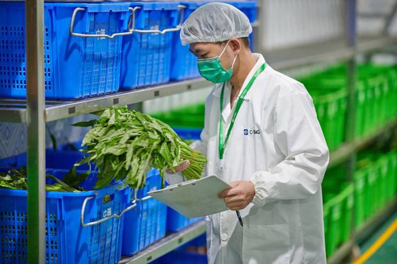 零食批发行业动态：市场需求与发展趋势